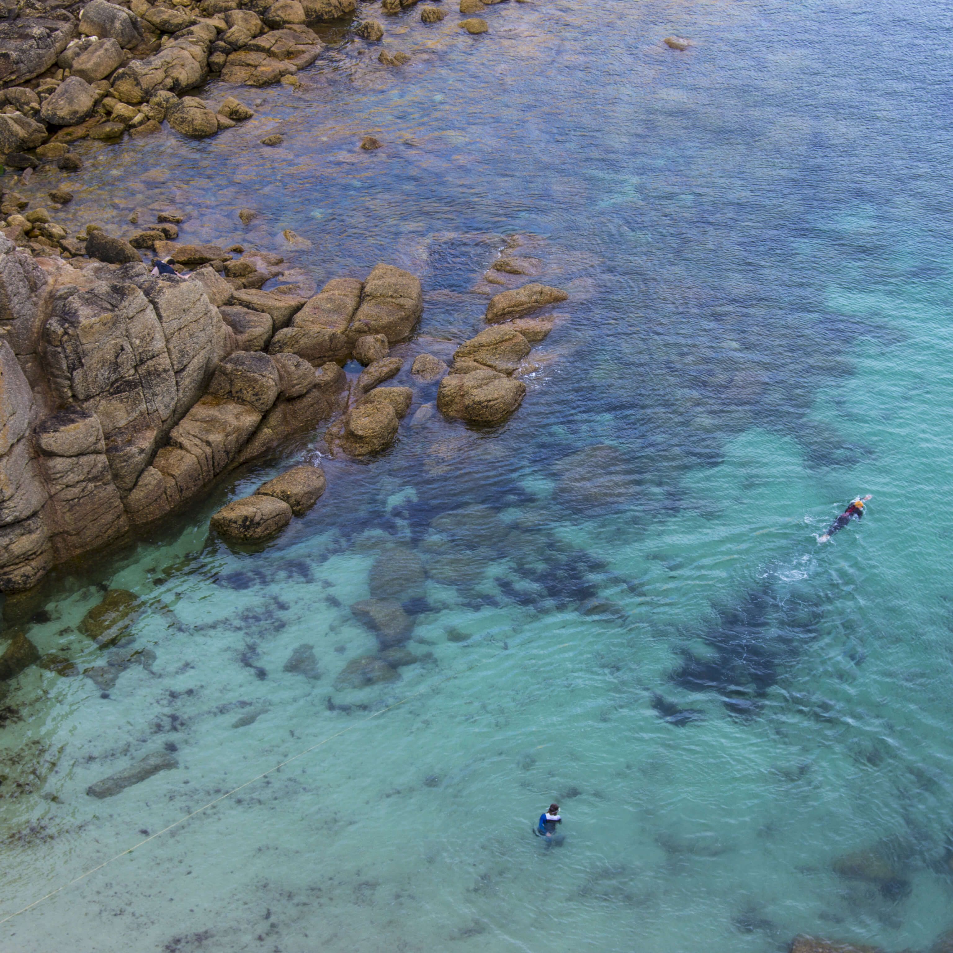 Aerial view of people swimming in sea