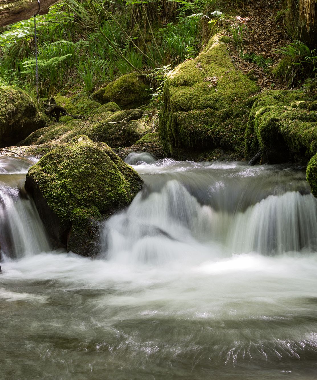 Waterfall in forest