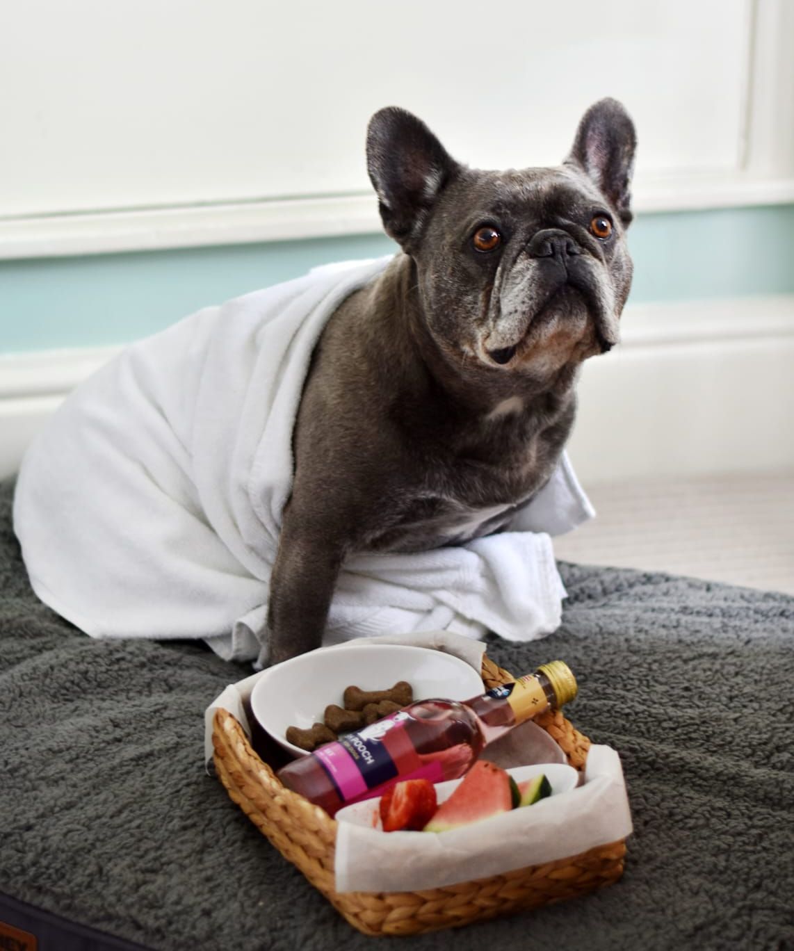 IMG-20250505-WA0149(1)