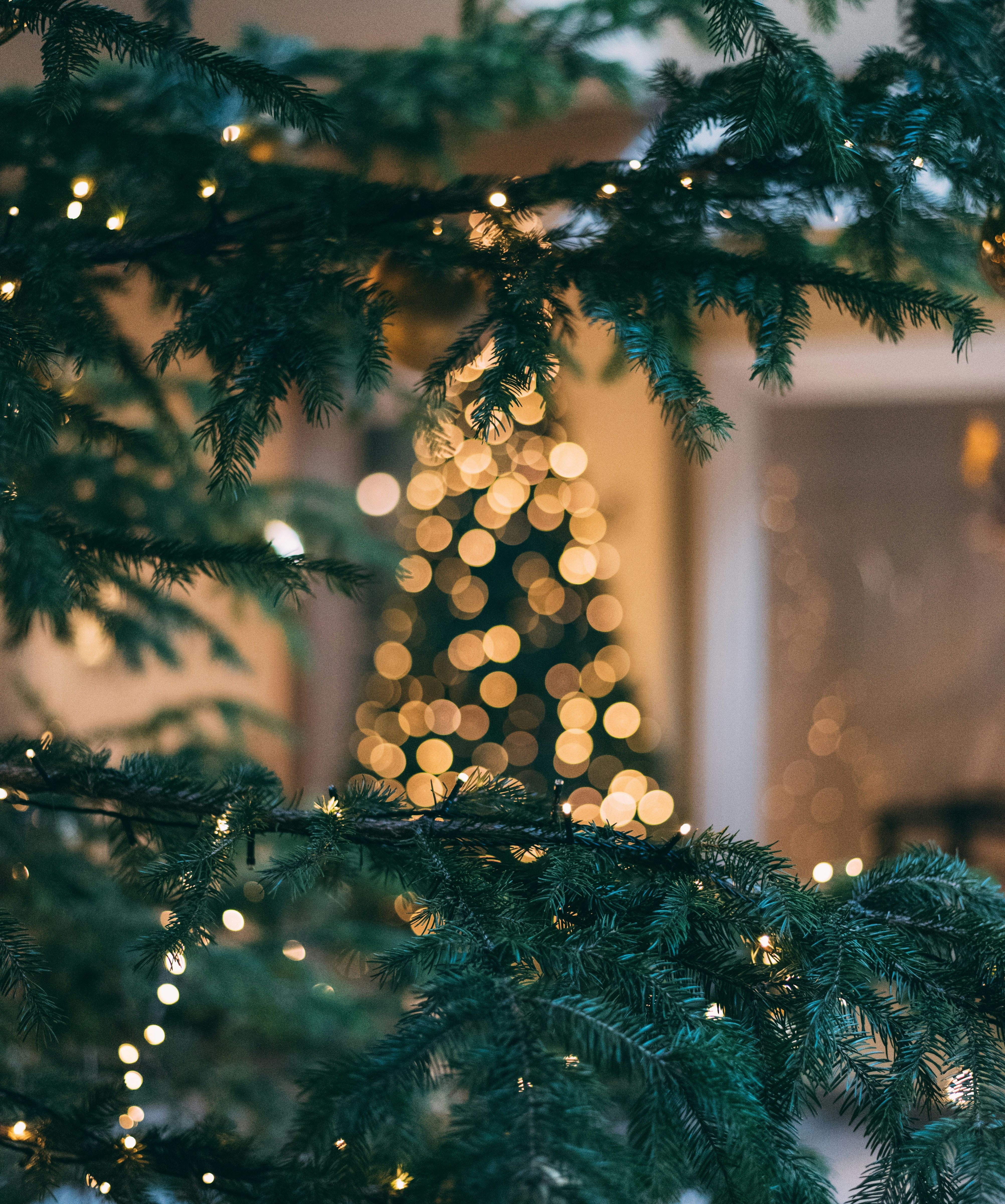 mourad-saadi-ZXbeOqF1NFQ-unsplash